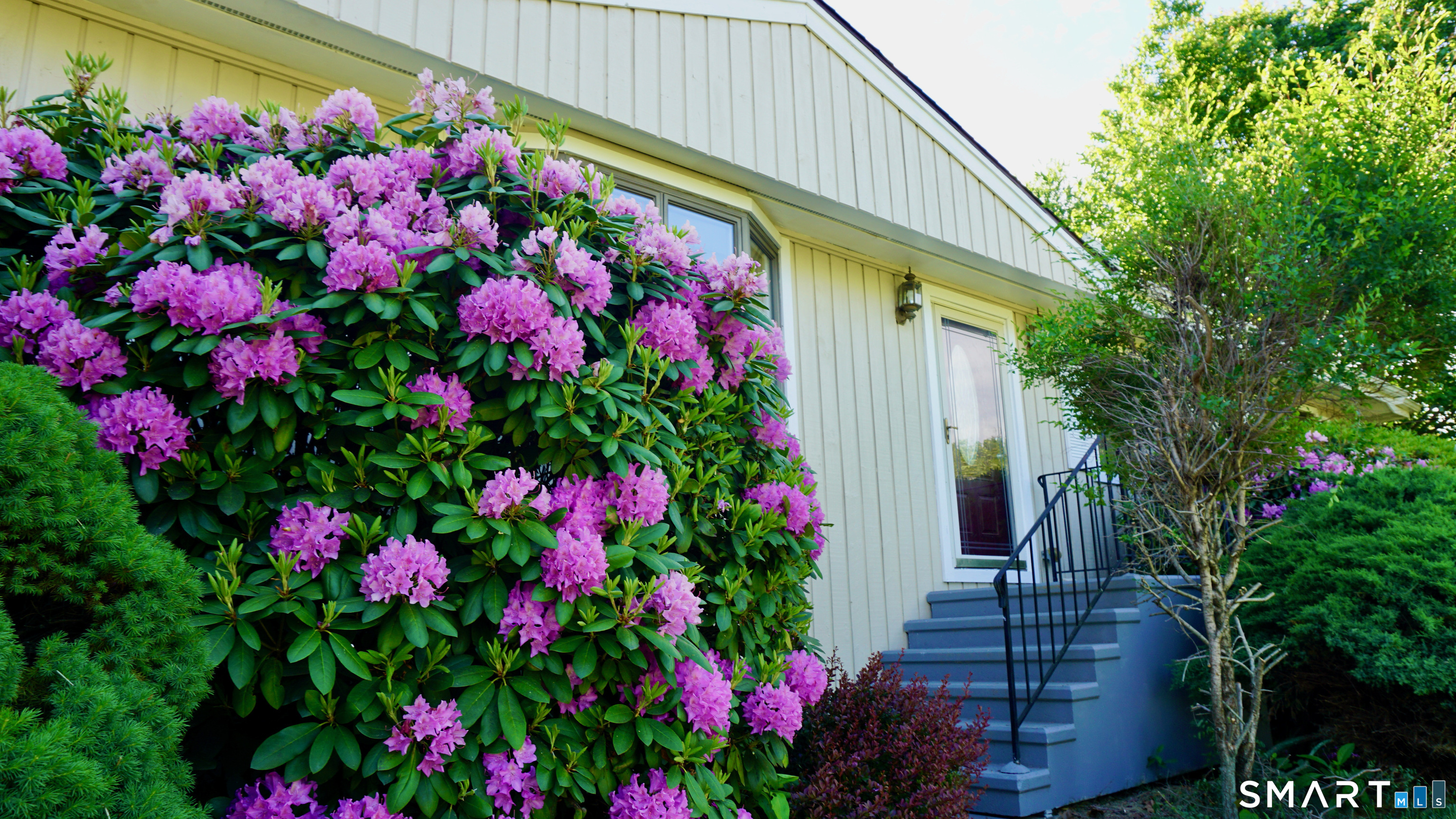 223 Sterling Road