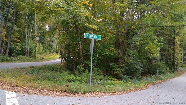 CHOWANEC RD, COLUMBIA, CT 06237 - Image 7e974764e0833476ae2836c8aa4e8a28/3998730727