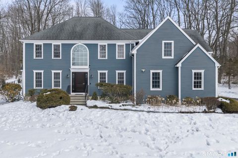 32 Yogananda Street Newtown CT 06482