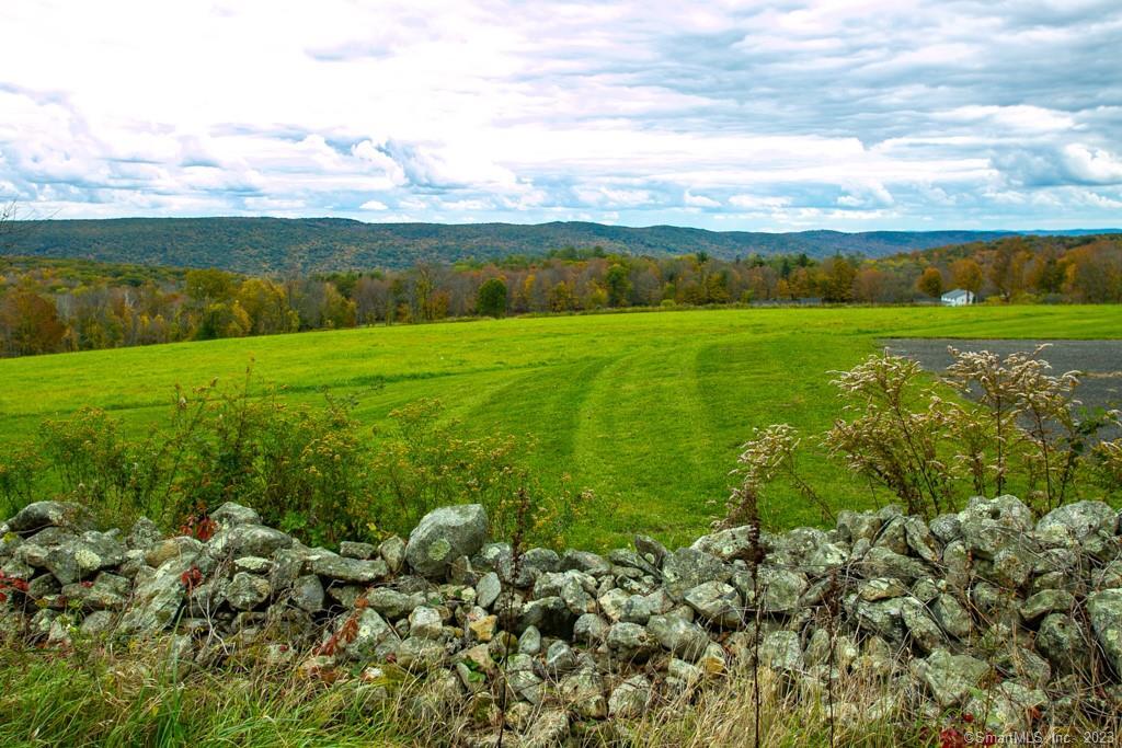 594 Skiff Mountain Road