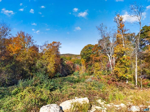 Tiny photo for 14 Wildflower Trail, North Stonington, CT 06359 (MLS # 24217694)