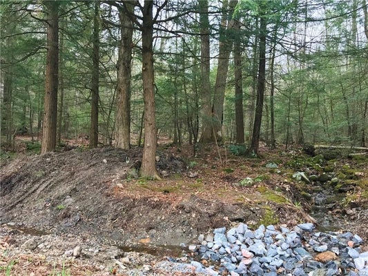 393 WINCHESTER RD, WINSTED, CT 06098 - Image 7fb4dc2ebe1982bddeb2c25597777000/3027860670