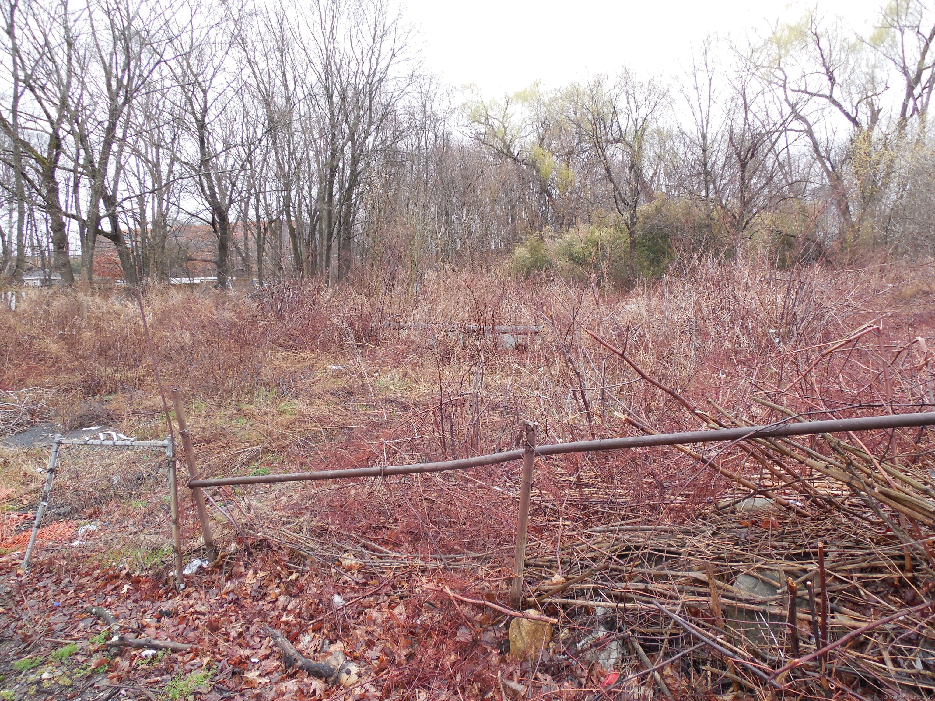 Berkeley Avenue, Waterbury, Connecticut -  - 