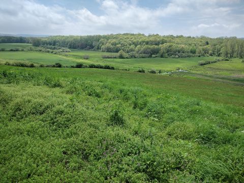 Tiny photo for 148 & 153 Wallingford Road, Durham, CT 06422 (MLS # 24015202)