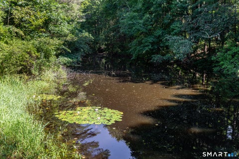 Tiny photo for 631 S Plains Road, Litchfield, CT 06759 (MLS # 24198470)