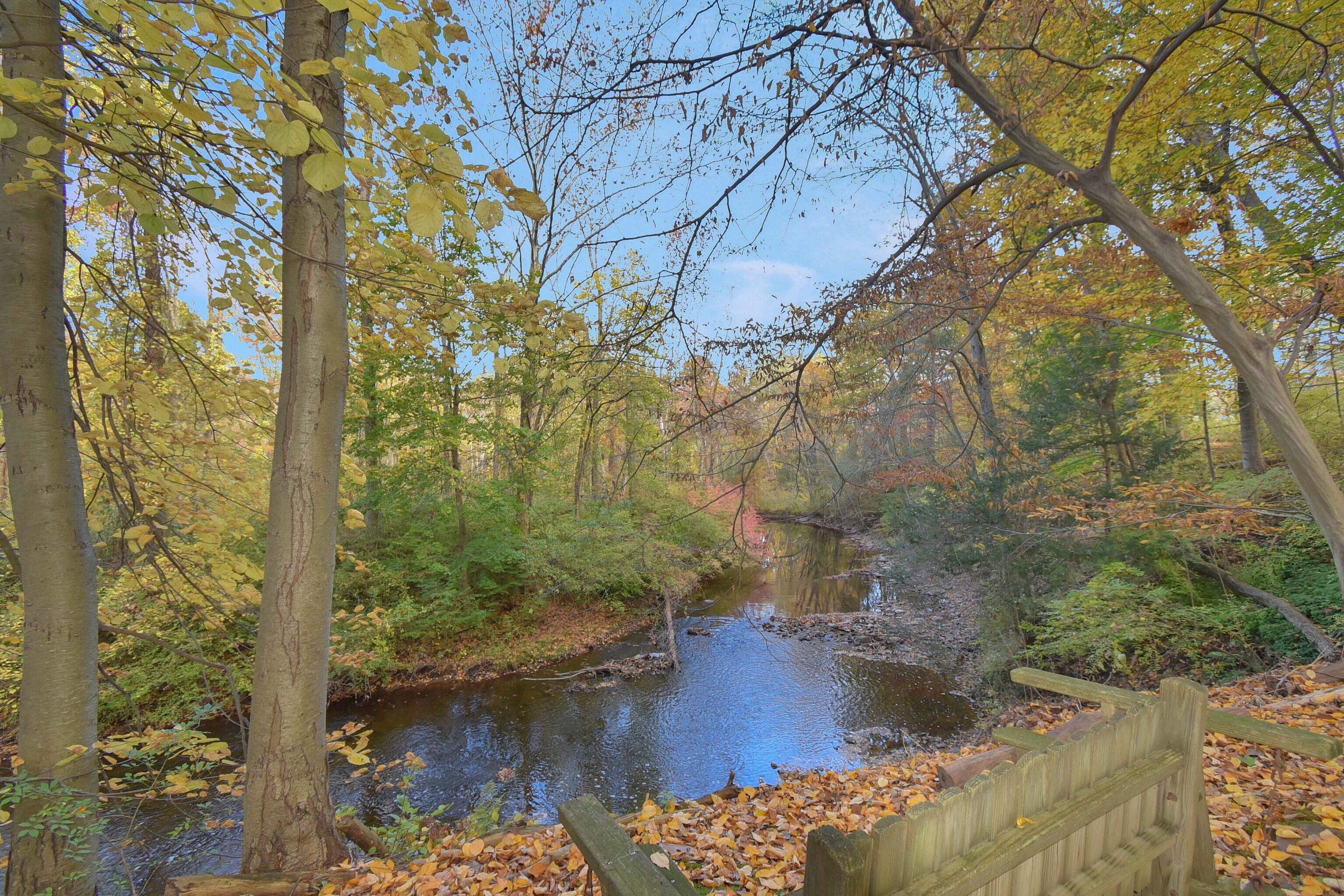 15 Sunny Reach Drive