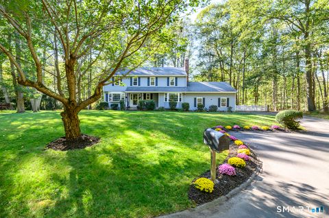 Photo of 41 Catherine Street, Trumbull, CT 06611 (MLS # 24165385)