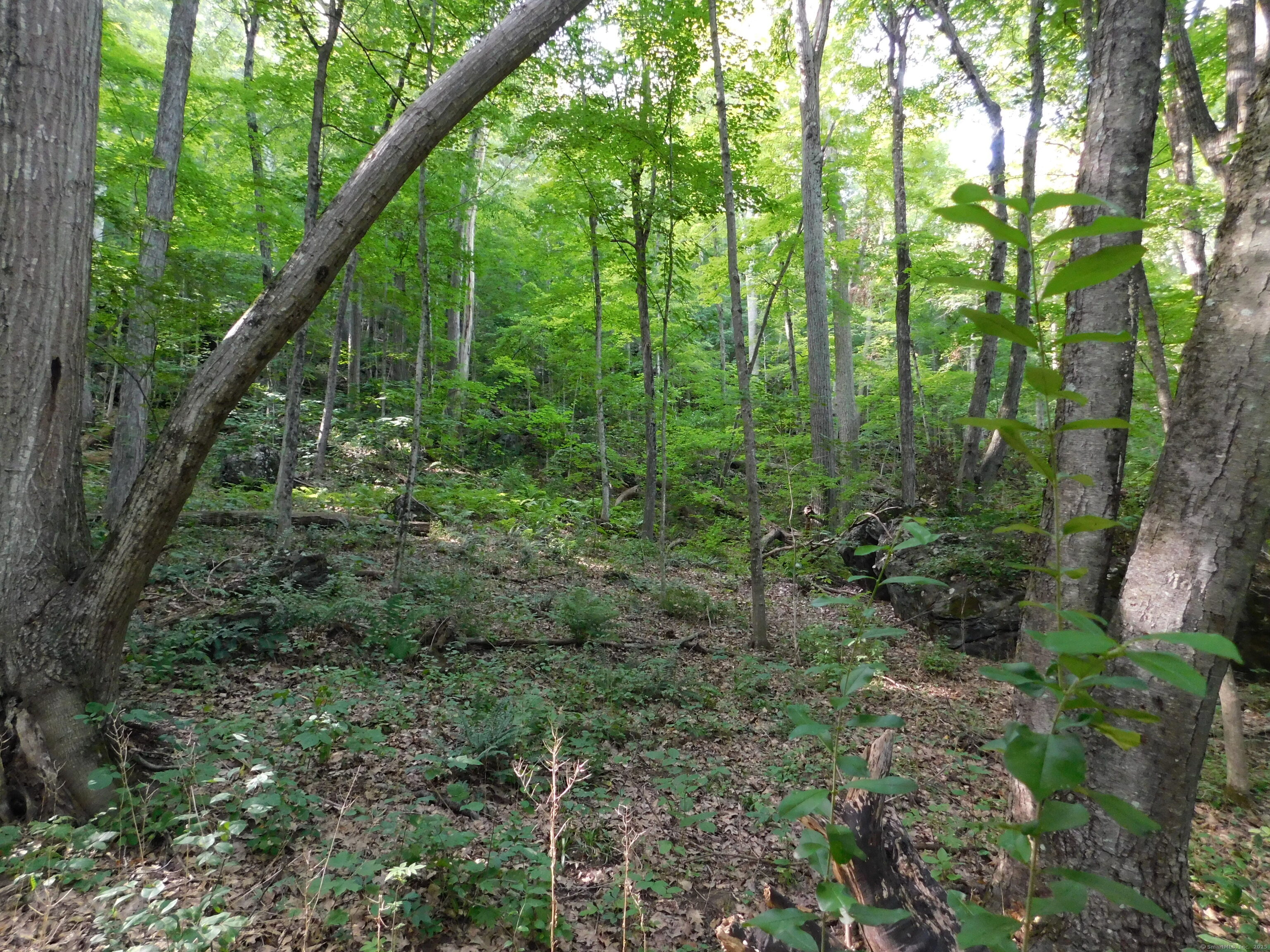 153 White Hollow Road