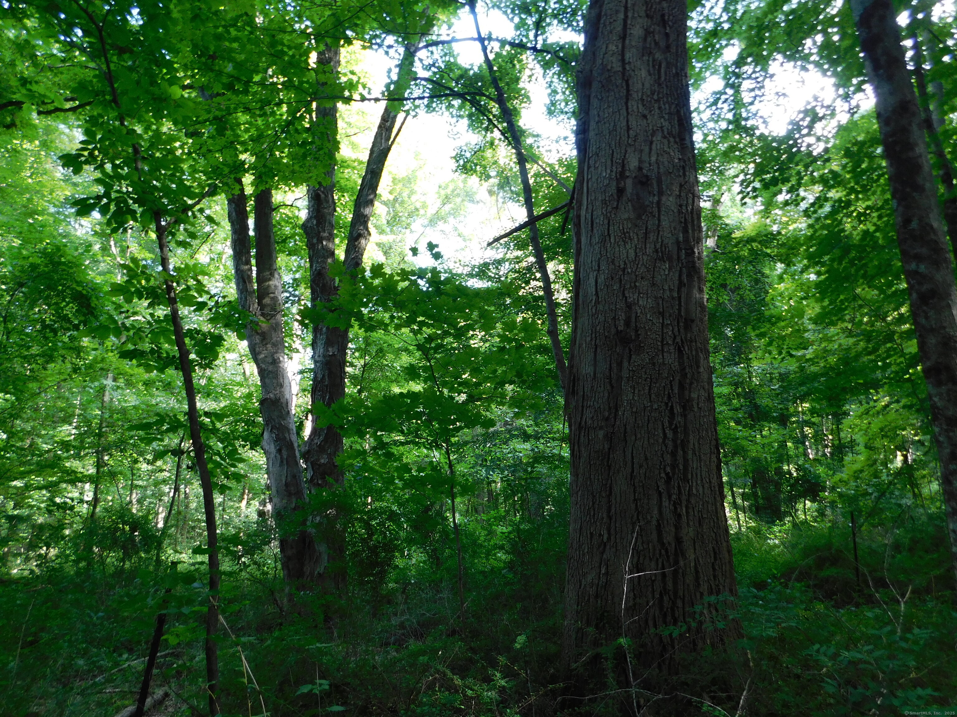 153 White Hollow Road