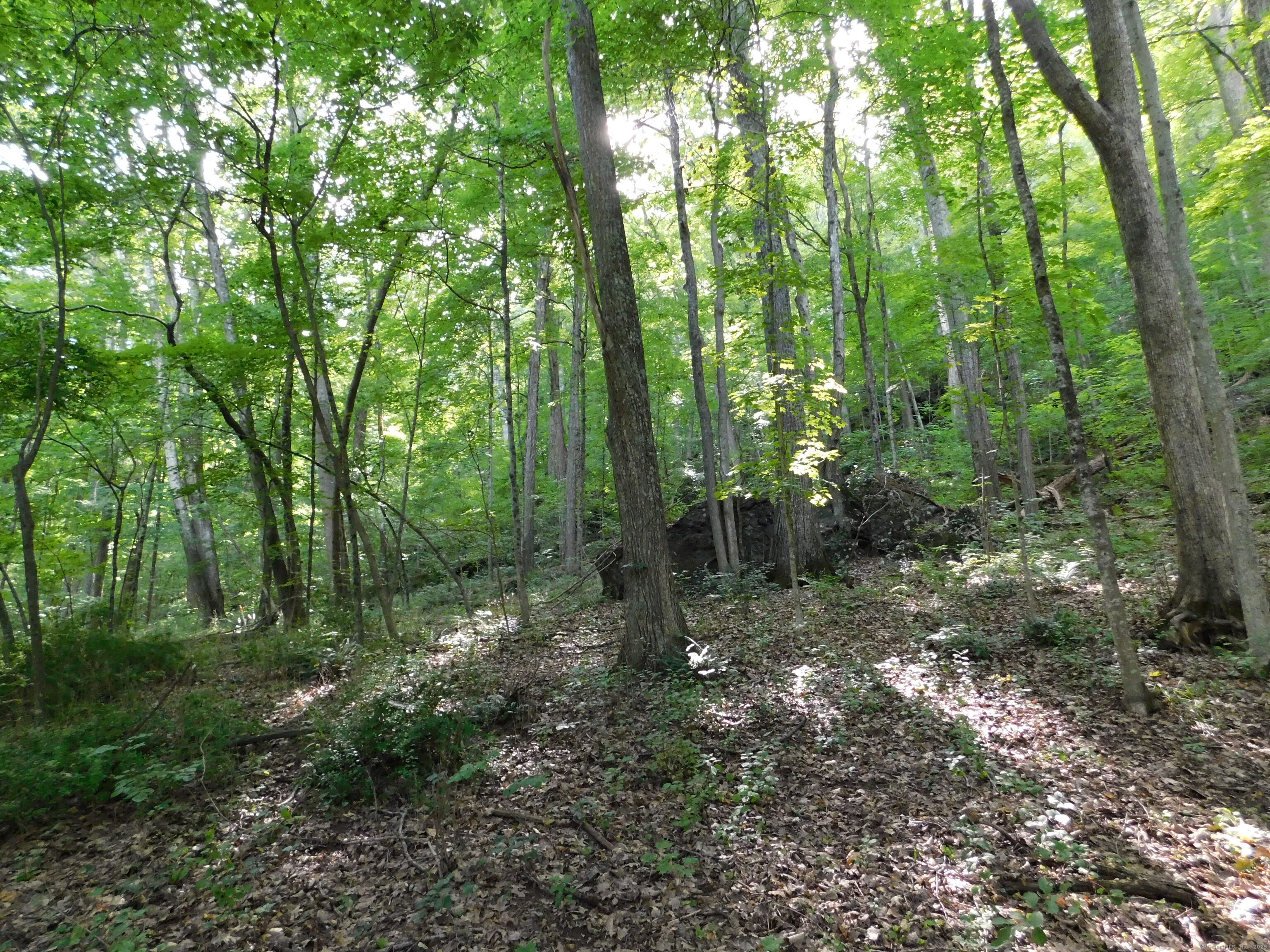 153 White Hollow Road