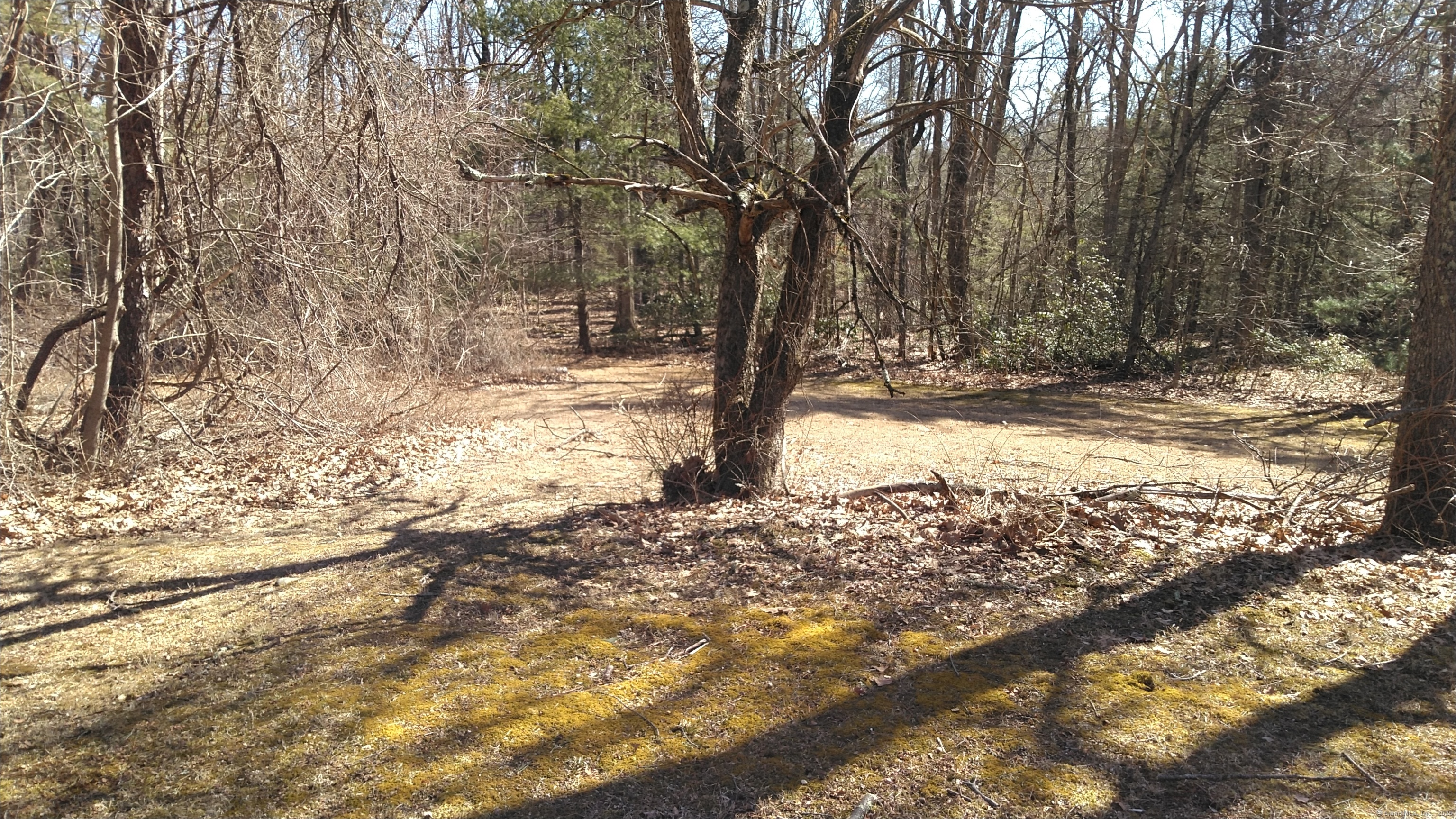 9 Hickory Lane, Newtown, Connecticut image 2