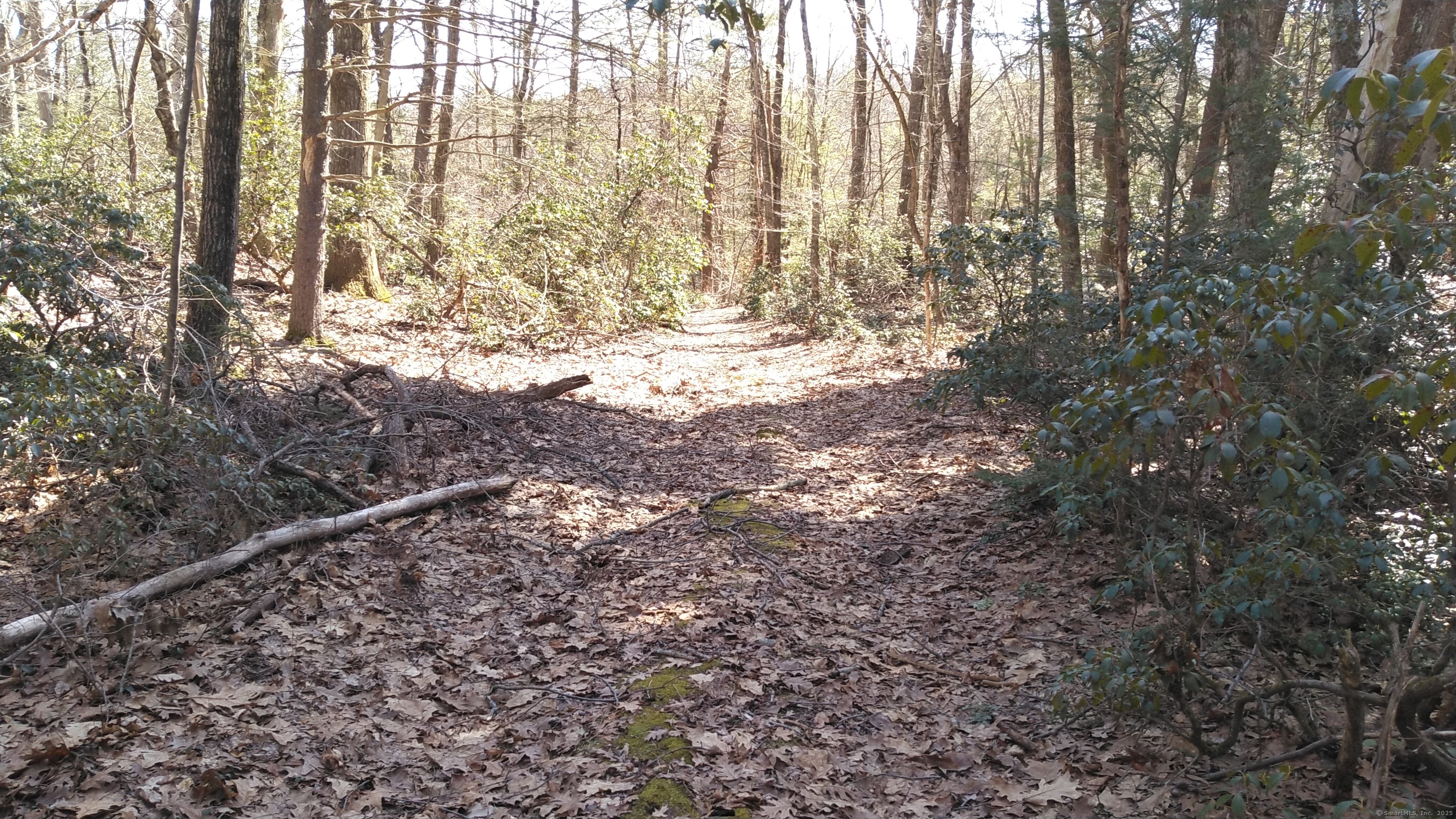 9 Hickory Lane, Newtown, Connecticut image 3