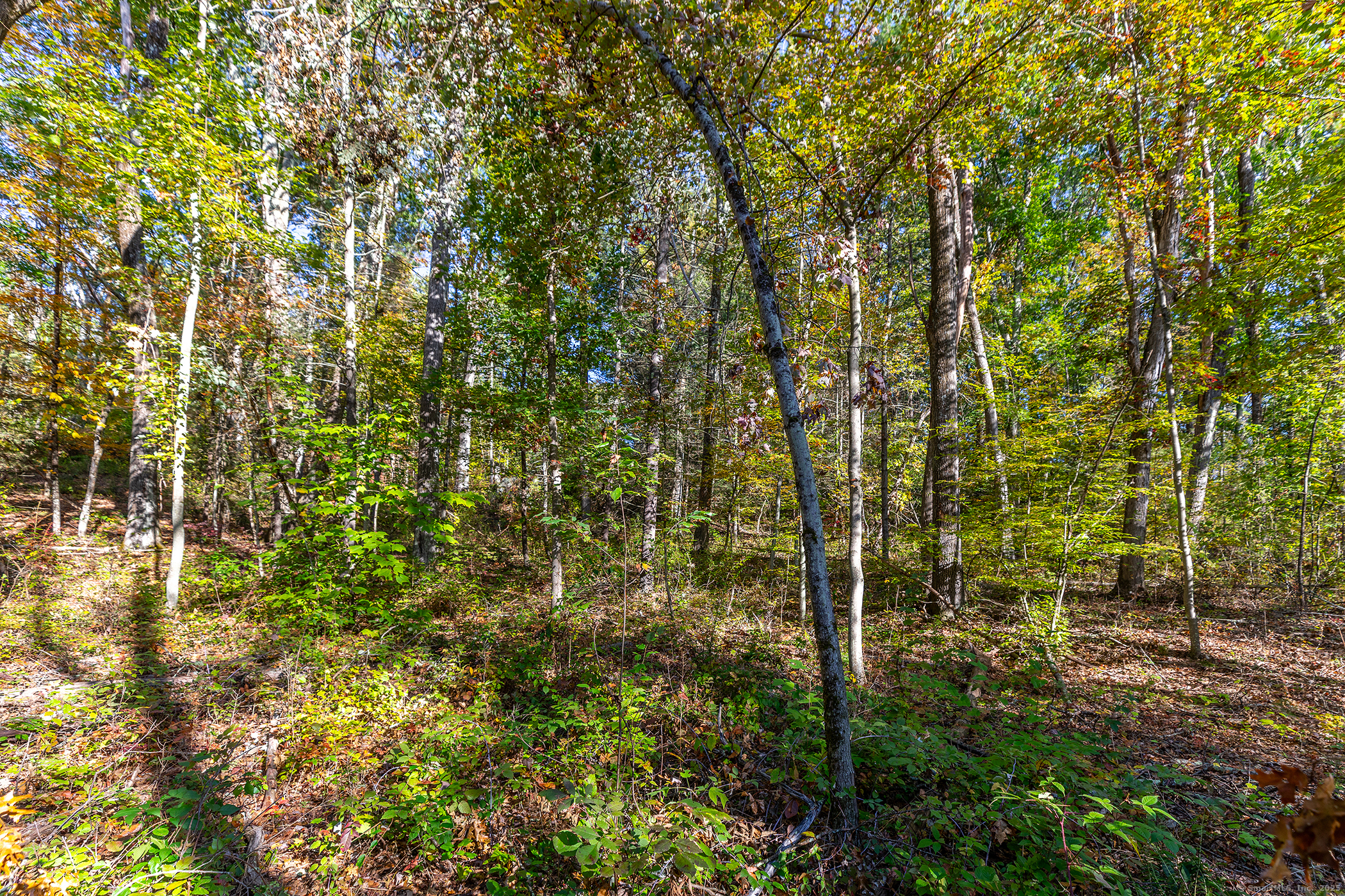 000 Under Mountain Road
