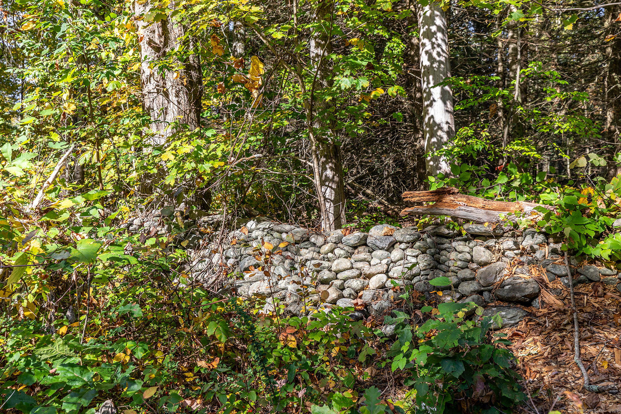 000 Under Mountain Road