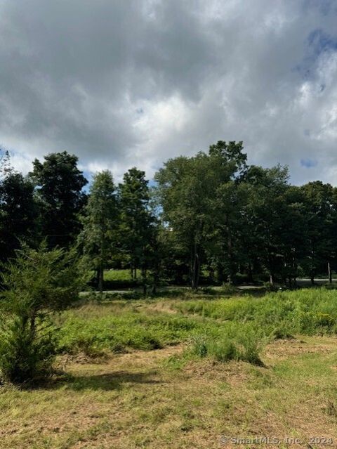 Tiny photo for 8A Taber Road, Sherman, CT 06784 (MLS # 24166929)