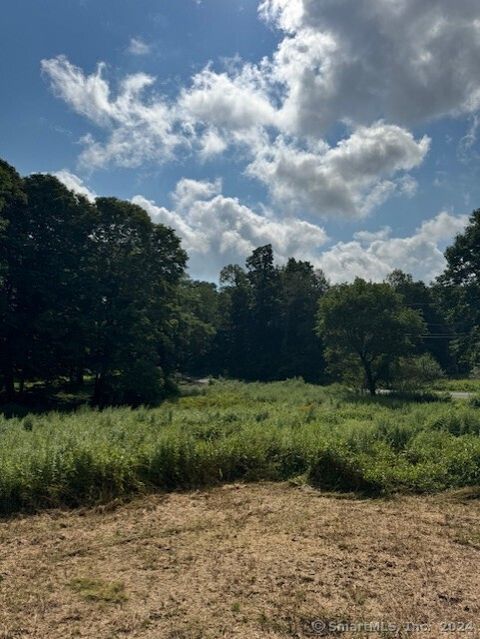 Tiny photo for 8A Taber Road, Sherman, CT 06784 (MLS # 24166929)