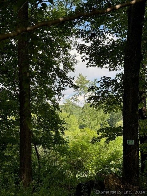 Tiny photo for 8A Taber Road, Sherman, CT 06784 (MLS # 24166929)