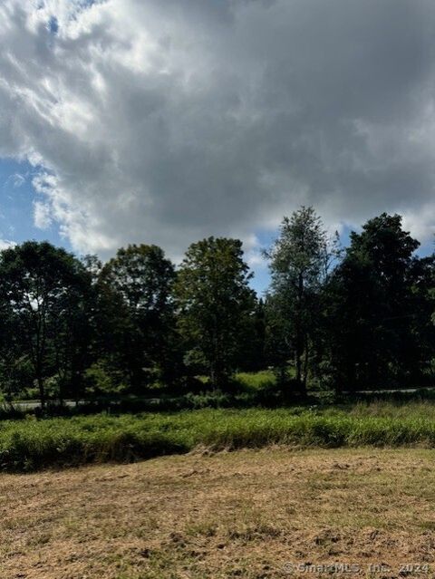 Tiny photo for 8A Taber Road, Sherman, CT 06784 (MLS # 24166929)