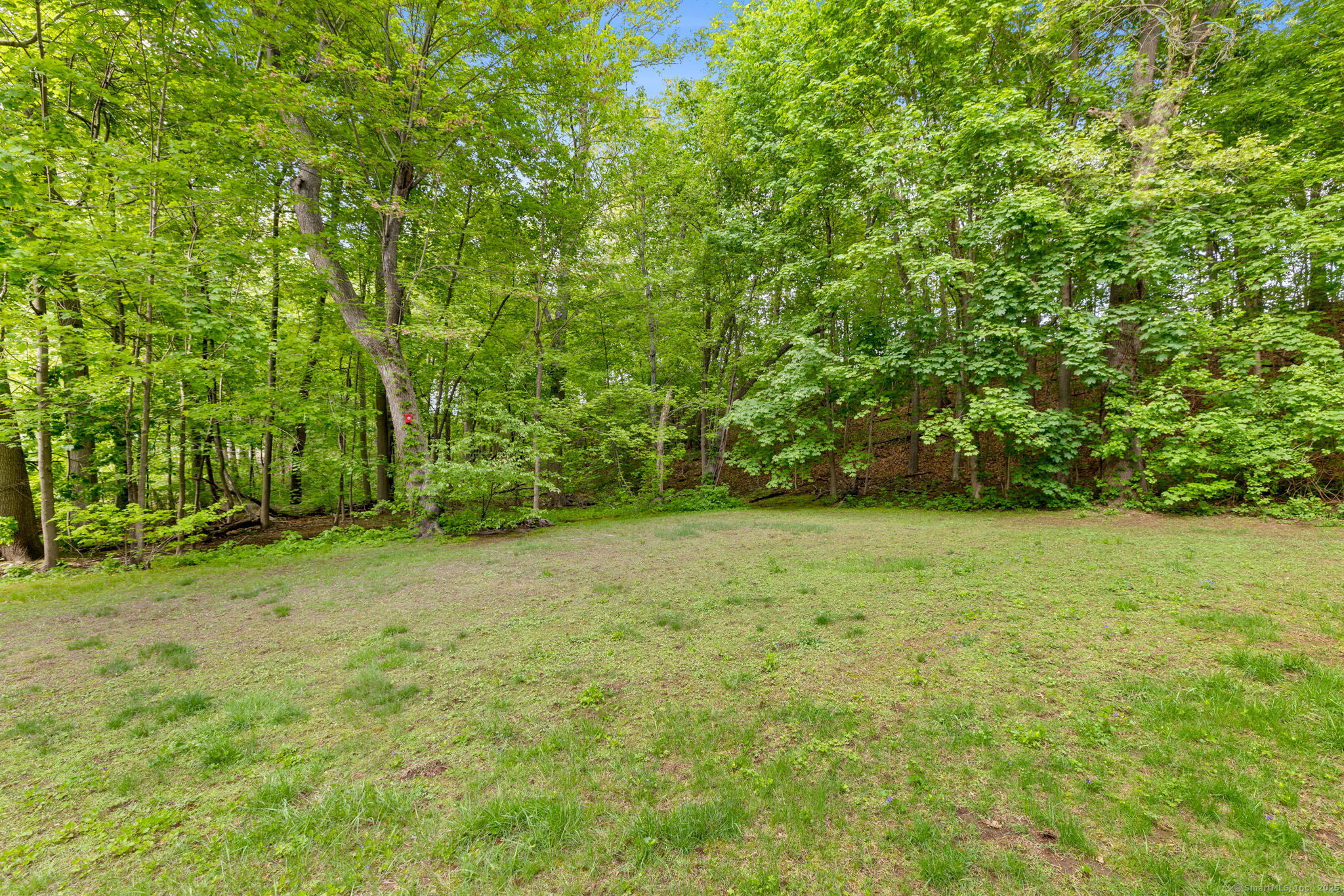 63 Summit Street #APT 16, Manchester, Connecticut image 29