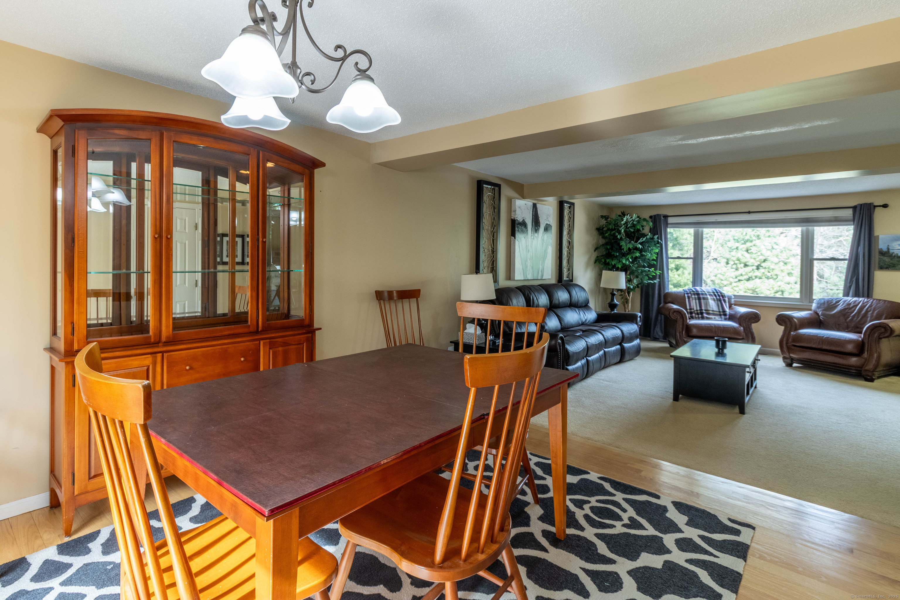 7 Sachem Drive #7, Marlborough, Connecticut image 10