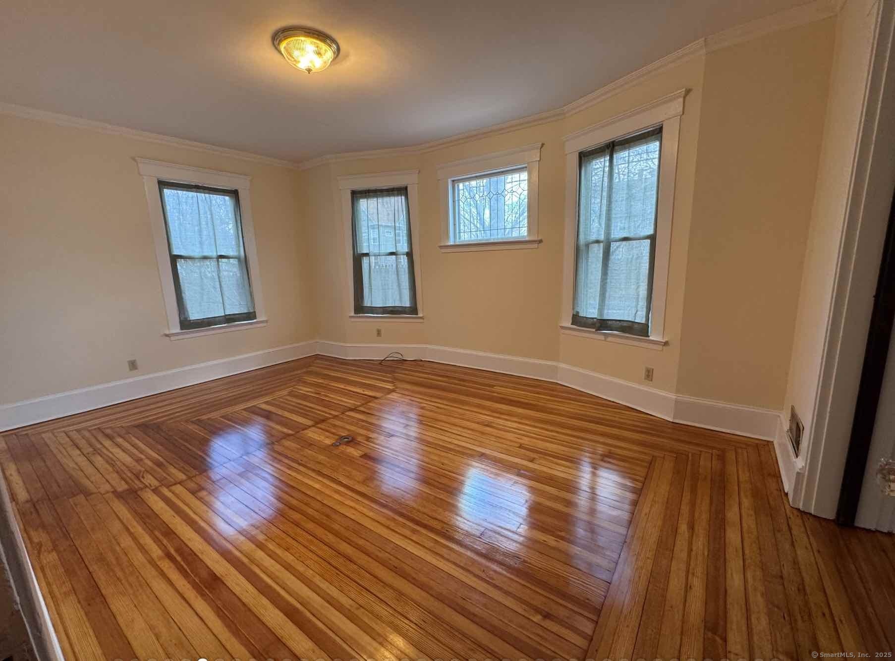 179 Maple Street, New Haven, Connecticut image 4