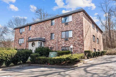 543 Woodward Avenue New Haven CT 06512