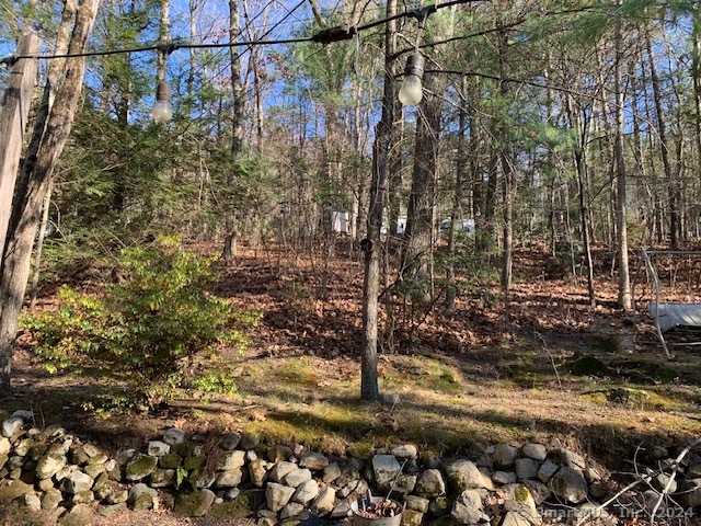 51 Old Springfield Road #113, Stafford, Connecticut image 21