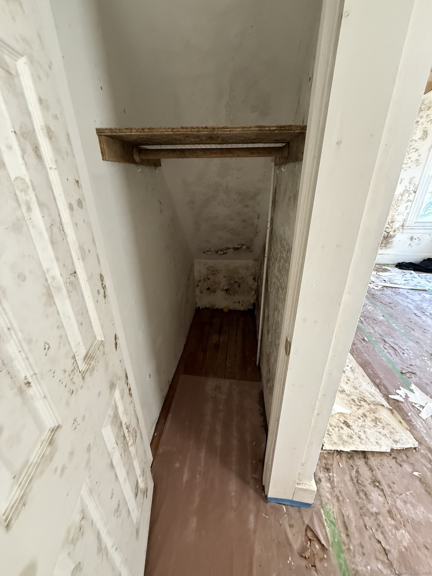 48 Willis Street, New Haven, Connecticut image 14