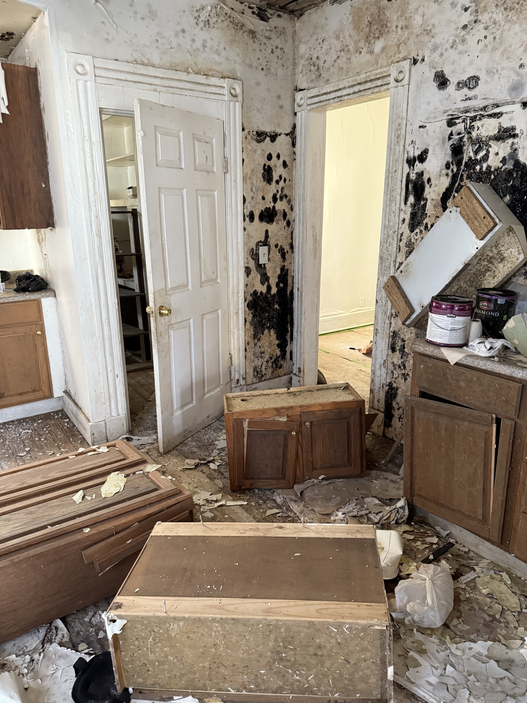 48 Willis Street, New Haven, Connecticut image 23