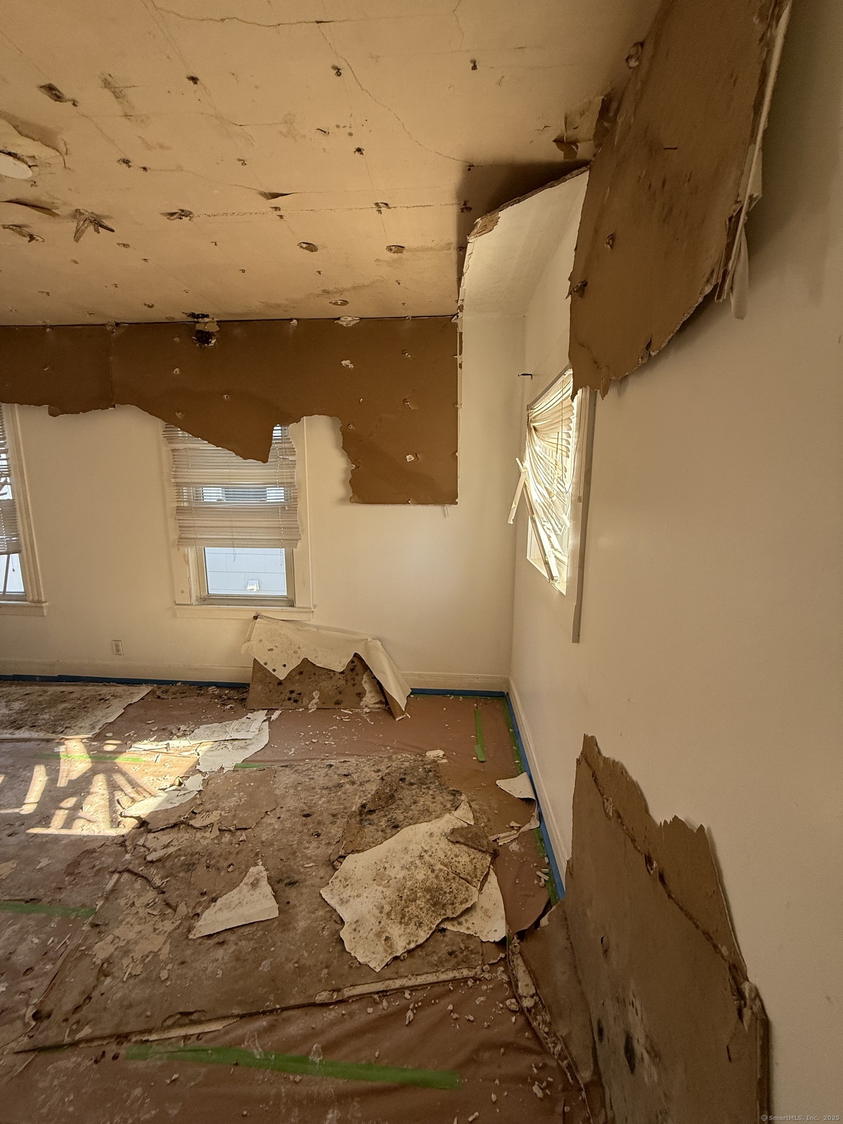48 Willis Street, New Haven, Connecticut image 12