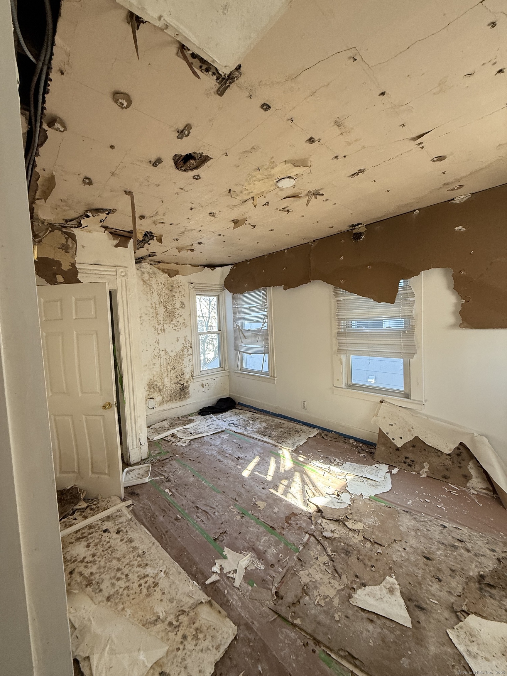 48 Willis Street, New Haven, Connecticut image 13