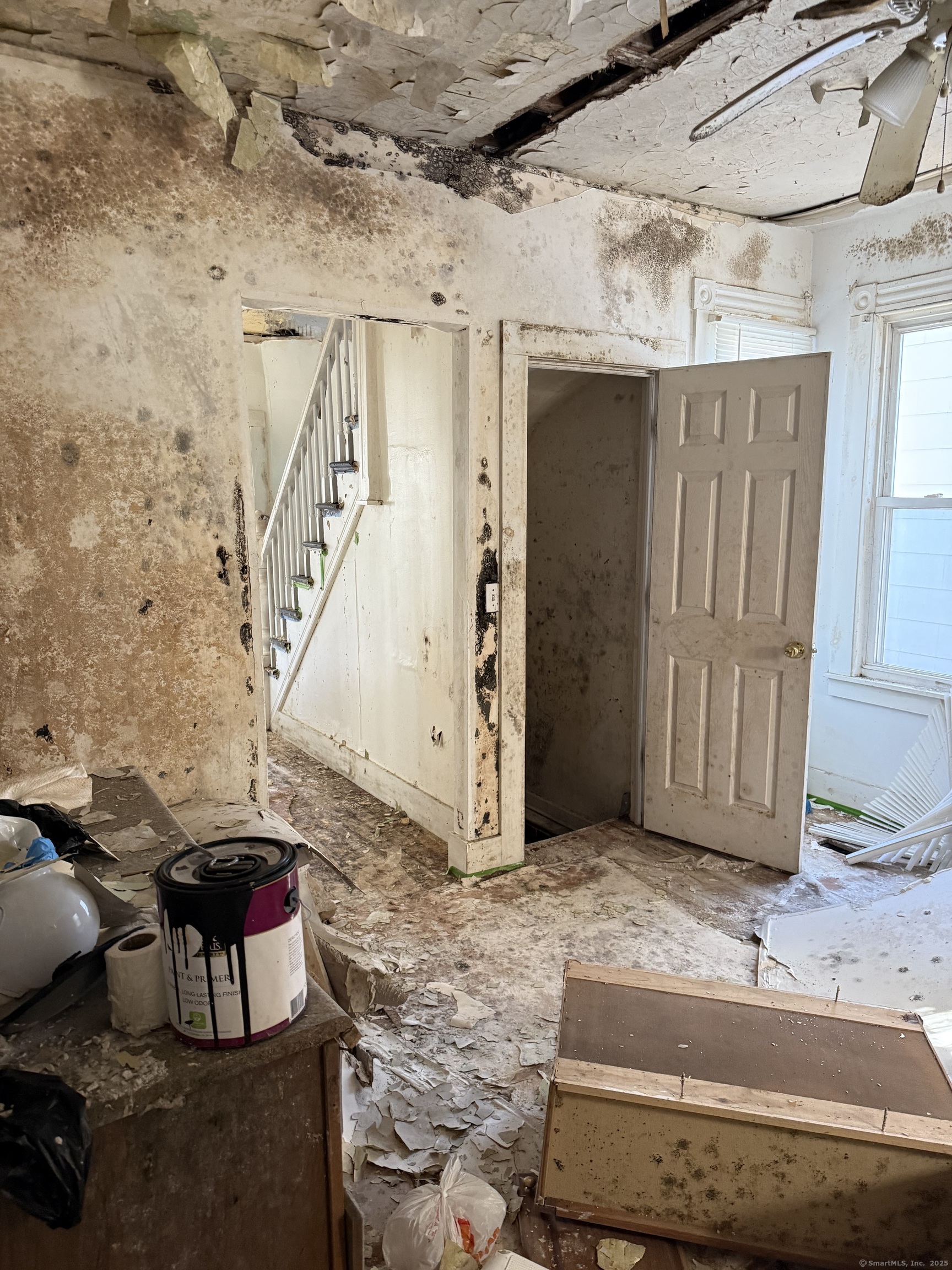 48 Willis Street, New Haven, Connecticut image 26