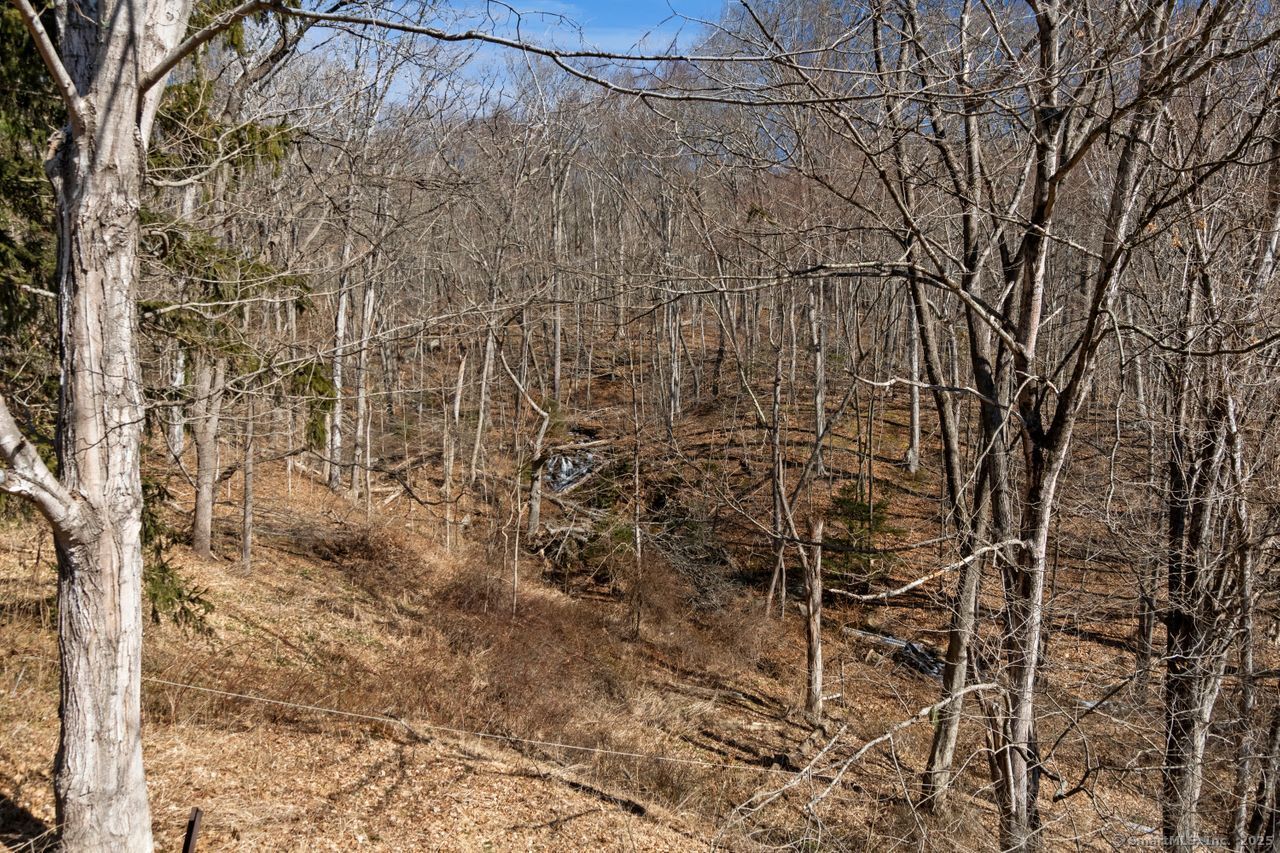 254 Rock Landing Road, Haddam, Connecticut image 38