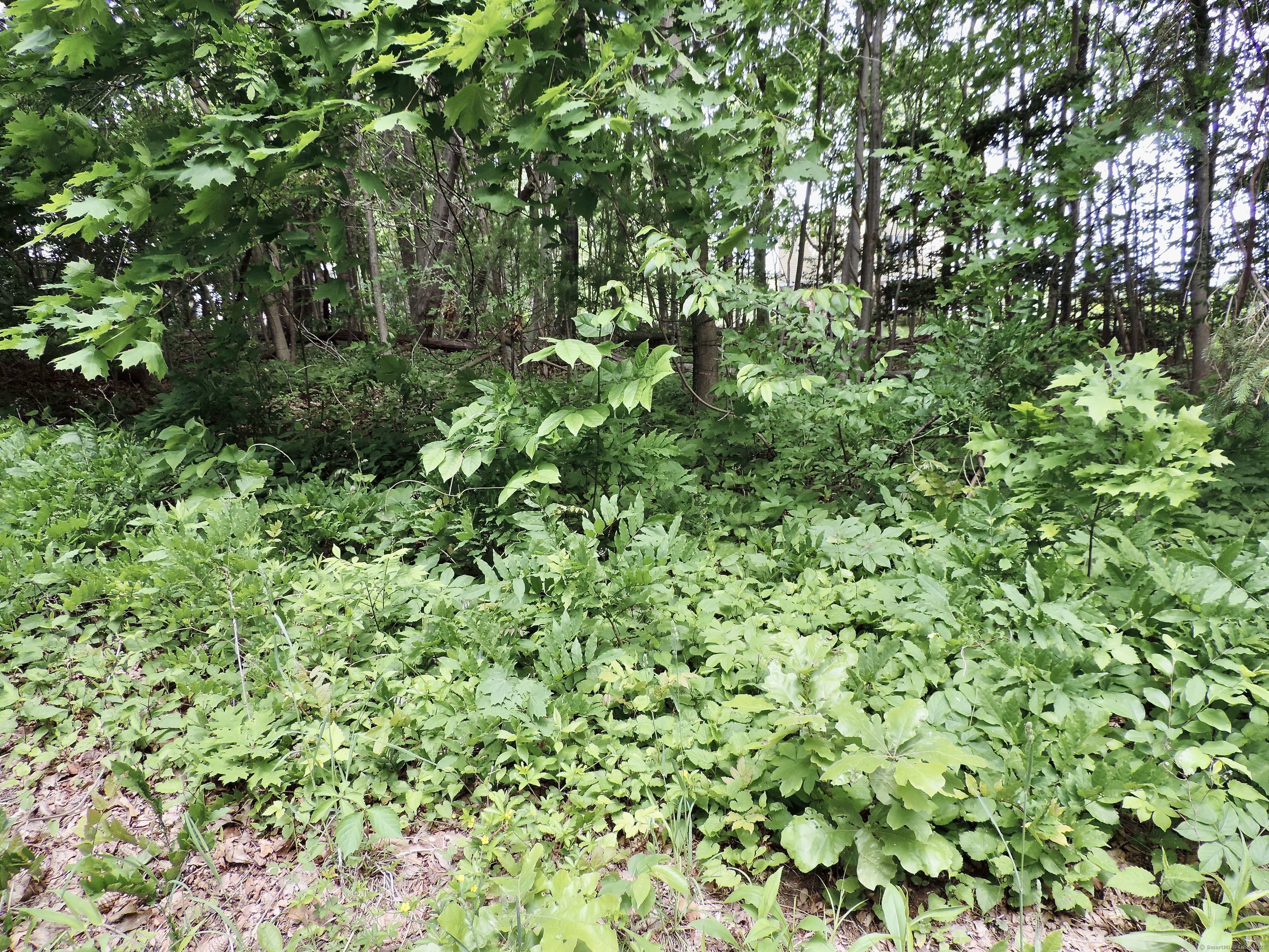 Right Side - Lot 9B - Bobbys Road, East Hampton, Connecticut image 5
