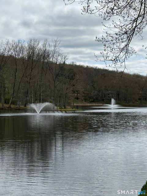 Tiny photo for 14 Heather Court #14, Woodbury, CT 06798 (MLS # 24168322)