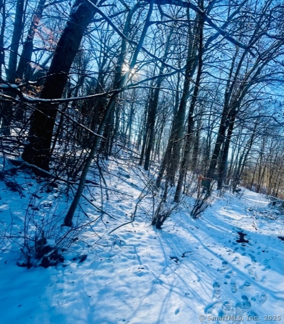 71 Dunbar Hill Road, Hamden, Connecticut image 6