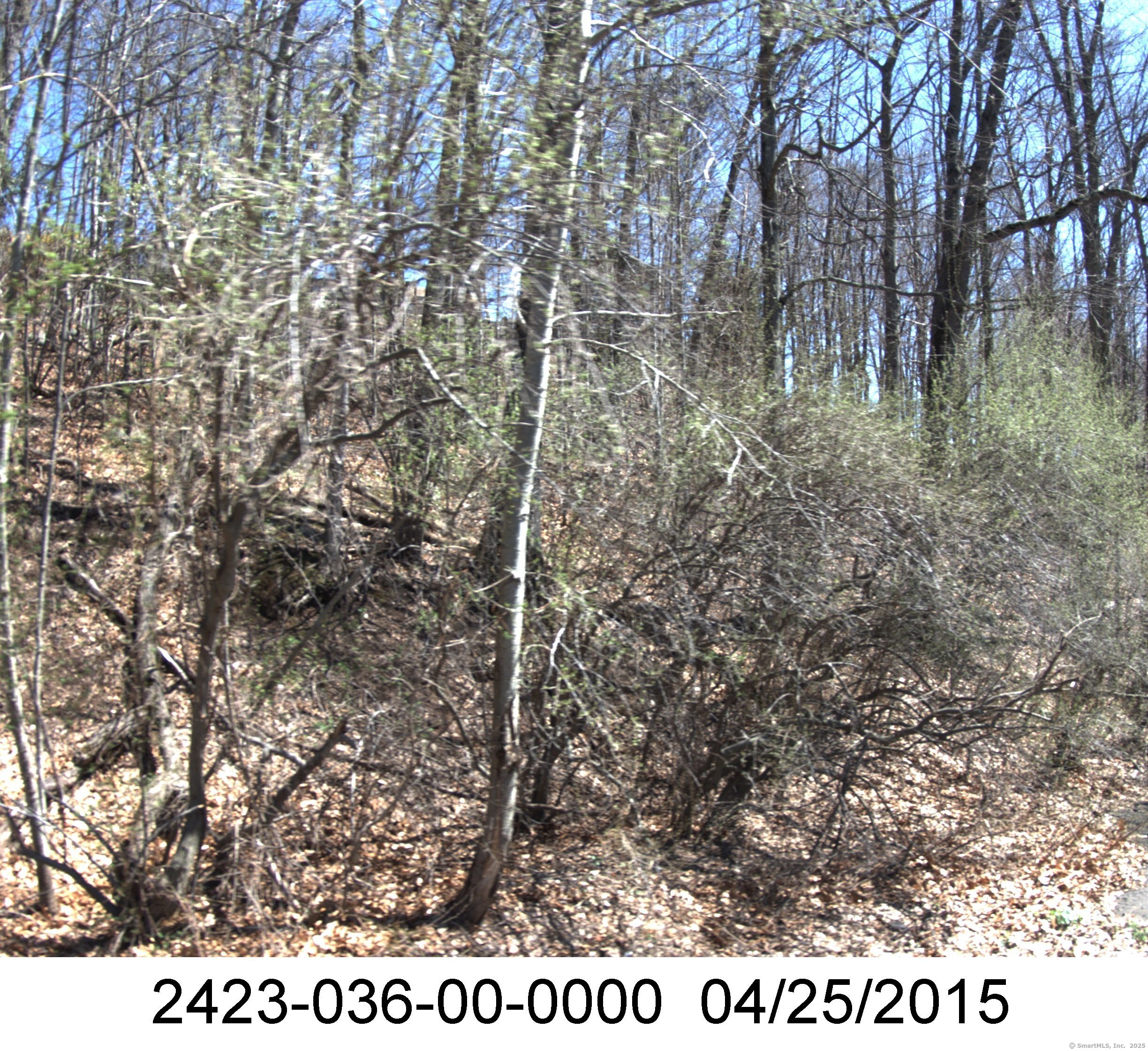 71 Dunbar Hill Road, Hamden, Connecticut image 4