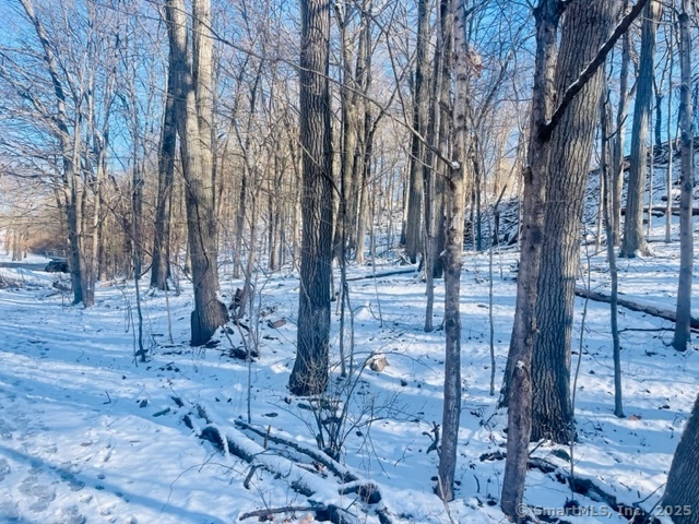 71 Dunbar Hill Road, Hamden, Connecticut image 2