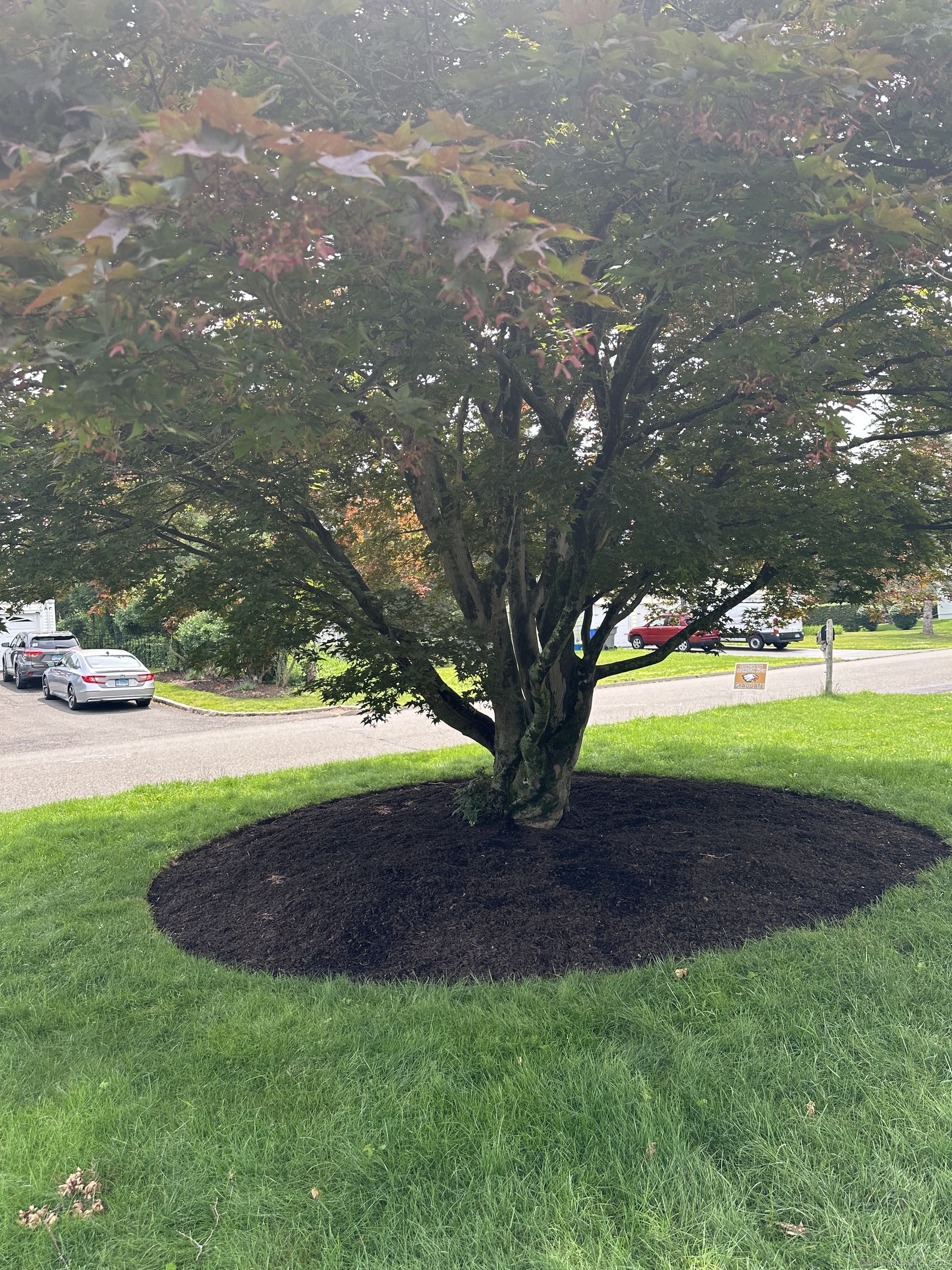 Trumbull, Connecticut 06611, United States, 5 Bedrooms Bedrooms, ,2 BathroomsBathrooms,Residential,Active,167036