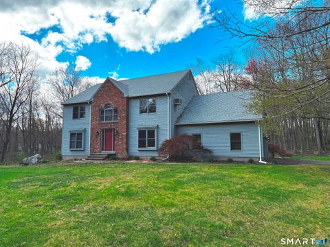 Photo of 237 Silver Street, Granby, CT 06060 (MLS # 24169344)