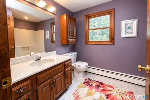 Tiny photo for 180 Loomis Street, Granby, CT 06060 (MLS # 24210536)