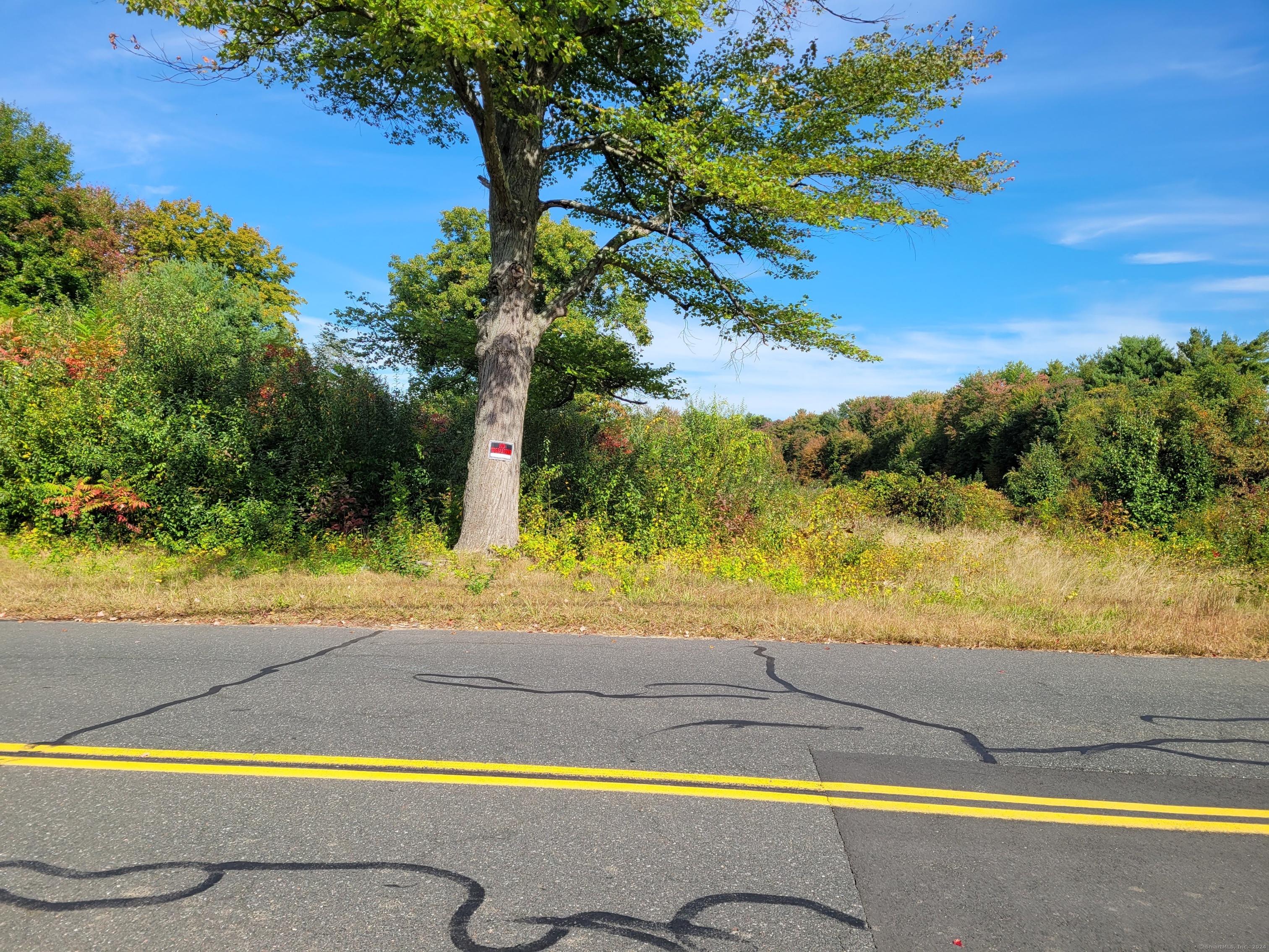 67 Middle Road, Enfield, Connecticut image 4