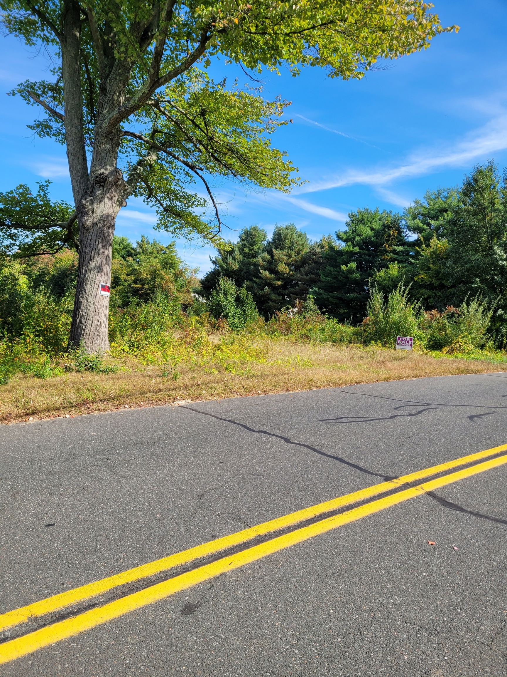 67 Middle Road, Enfield, Connecticut image 5
