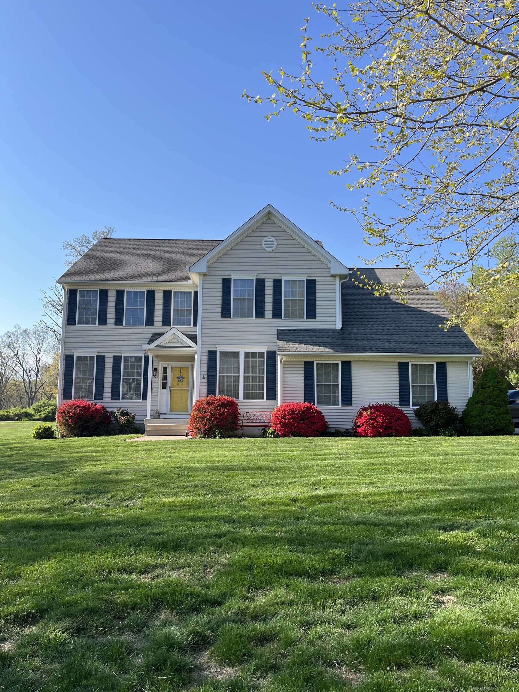 6 Paddock Road