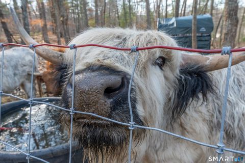 Tiny photo for 523 Danielle Way, Killingly, CT 06241 (MLS # 24161332)