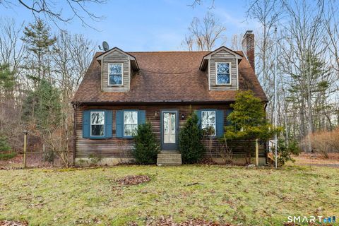 Photo of 45 Luchon Road, Willington, CT 06279 (MLS # 24148890)