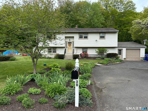 Photo of 30 Tamanny Trail, Danbury, CT 06811 (MLS # 24175166)