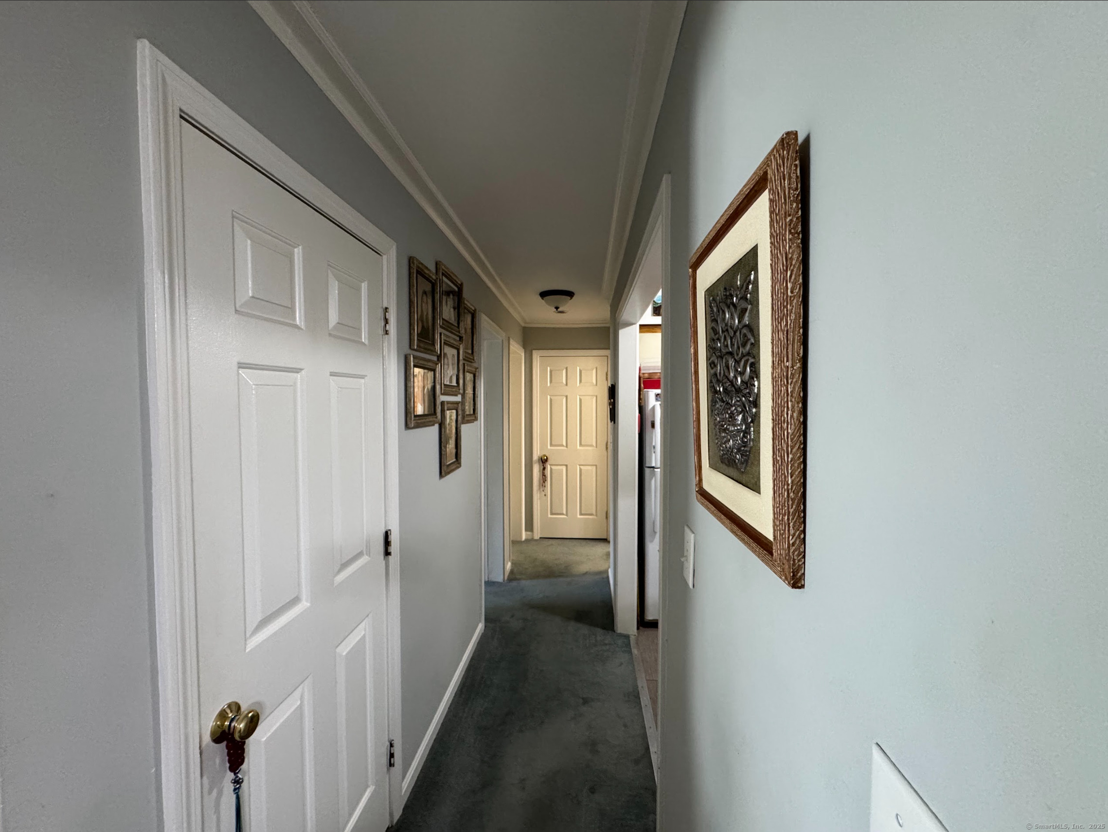 20 Daly Street APT 2C