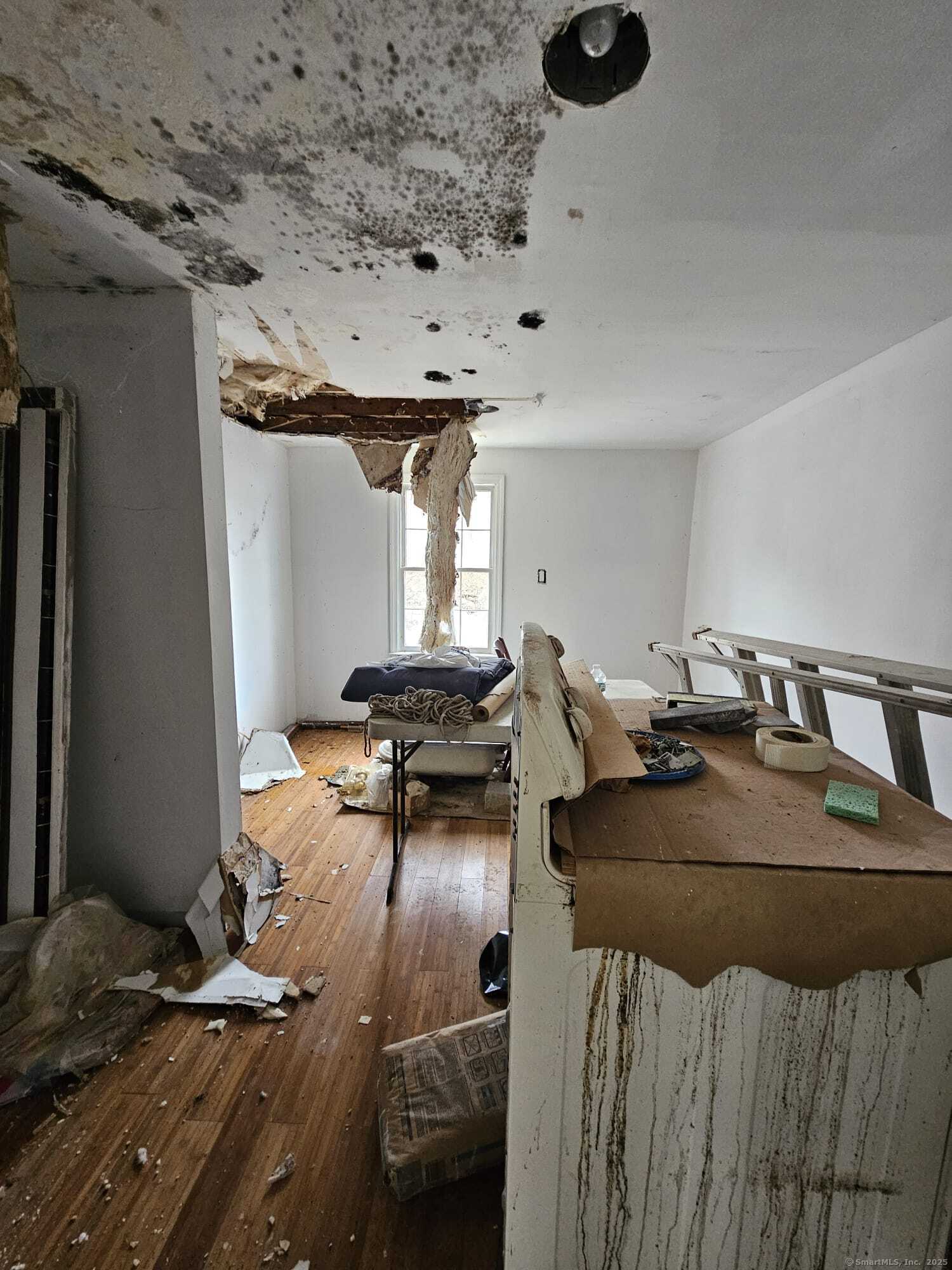 51 Clover Street, Waterbury, Connecticut image 3