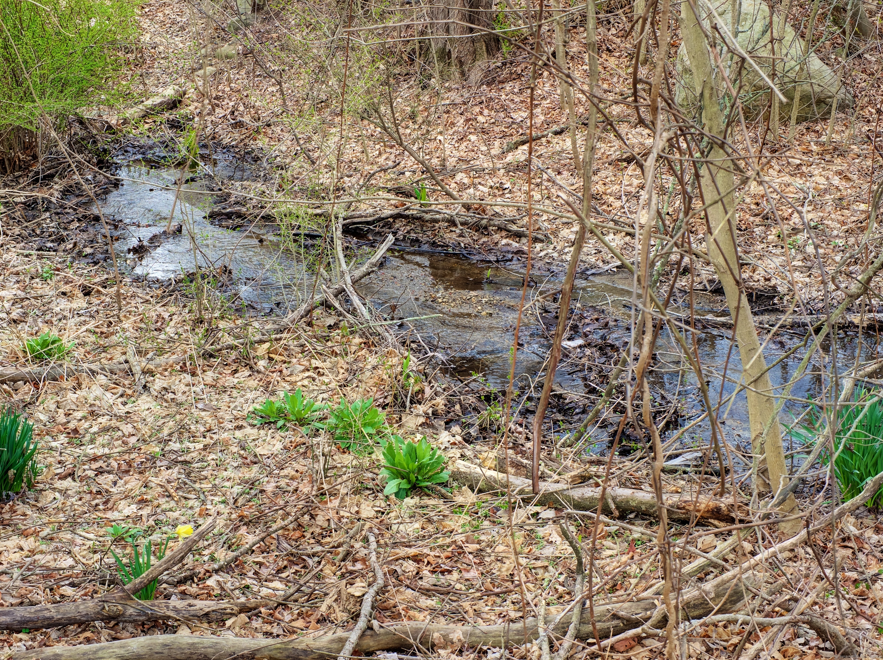 63 Mason Road, Brooklyn, Connecticut image 17